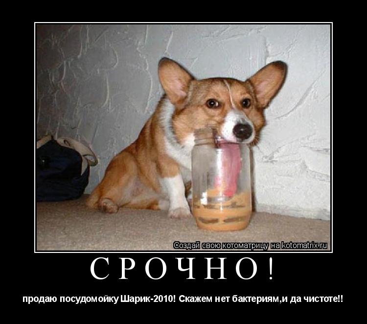 Срочно! продаю посудомойку Шарик-2010! Скажем нет бактериям,и да чистоте!!... Котоматрица: Срочно! продаю посудомойку Шарик-2010! Скажем нет бактериям,и да чистоте!!