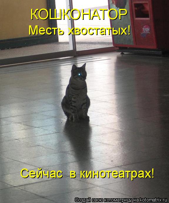 КОШКОНАТОР Месть хвостатых! Сейчас в кинотеатрах!... Котоматрица: КОШКОНАТОР Месть хвостатых! Сейчас в кинотеатрах!