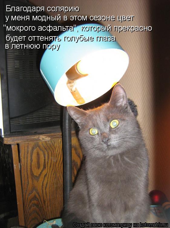 Благодаря солярию у меня модный в этом сезоне цвет "мокрого асфальта", который прекрасно будет оттен... Котоматрица: Благодаря солярию у меня модный в этом сезоне цвет "мокрого асфальта", который прекрасно будет оттенять голубые глаза в летнюю пору