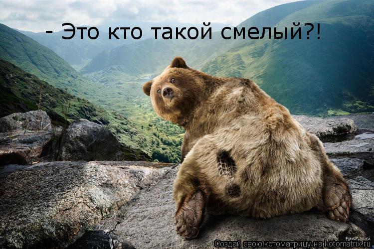 - Это кто такой смелый?!... Котоматрица: - Это кто такой смелый?!