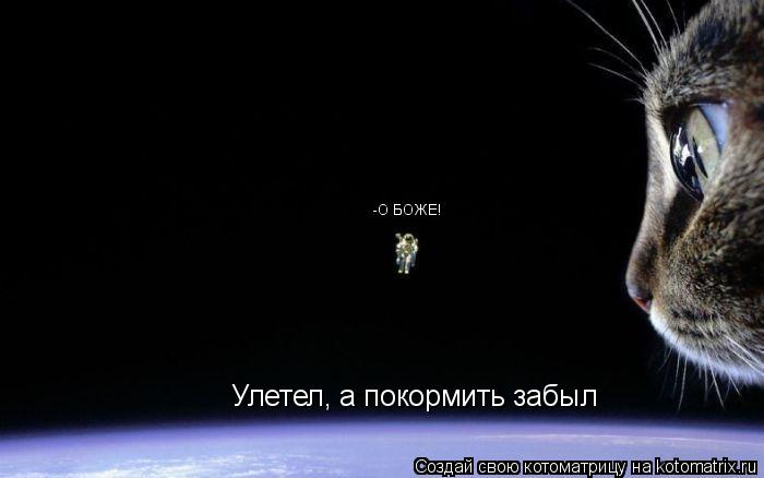 Улетел, а покормить забыл -О БОЖЕ!... Котоматрица: Улетел, а покормить забыл -О БОЖЕ!