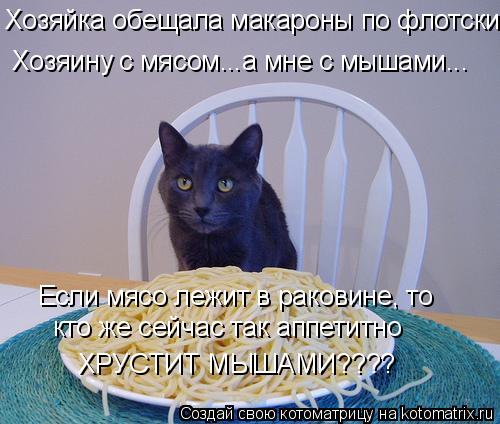 Котоматрица: Хозяину с мясом...а мне с мышами... Хозяйка обещала макароны по флотски Если мясо лежит в раковине, то  кто же сейчас так аппетитно  ХРУСТИТ МЫ