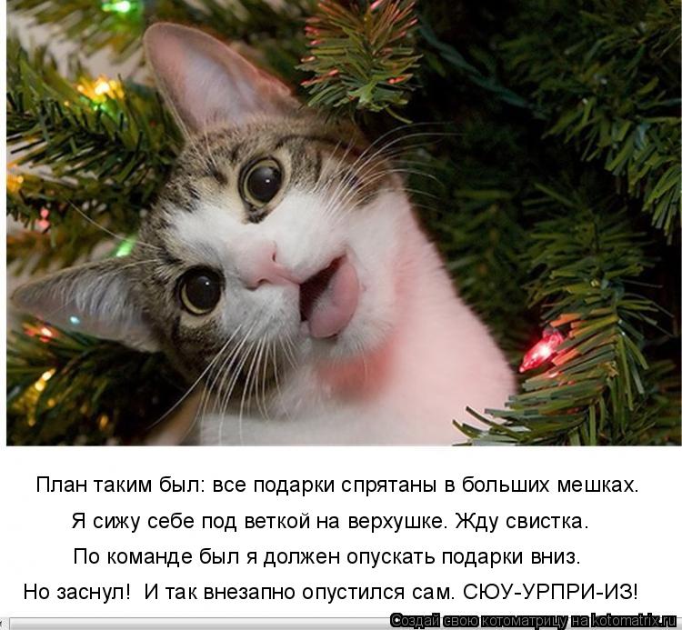 План таким был: все подарки спрятаны в больших мешках. Я сижу себе под веткой на верхушке. Жду свистк... Котоматрица: План таким был: все подарки спрятаны в больших мешках. Я сижу себе под веткой на верхушке. Жду свистка. По команде был я должен опускать пода