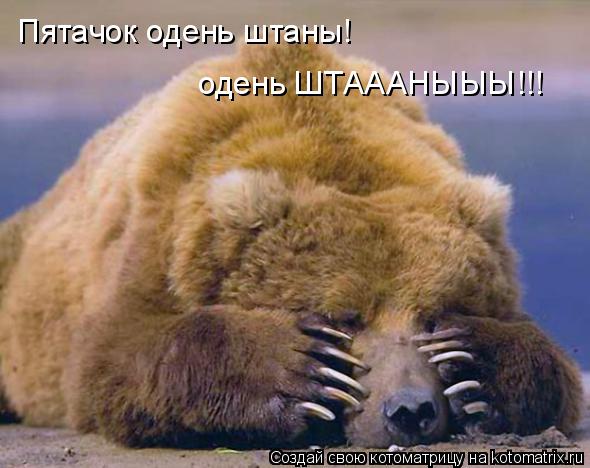 Пятачок одень штаны! одень ШТАААНЫЫЫ!!!... Котоматрица: Пятачок одень штаны! одень ШТАААНЫЫЫ!!!