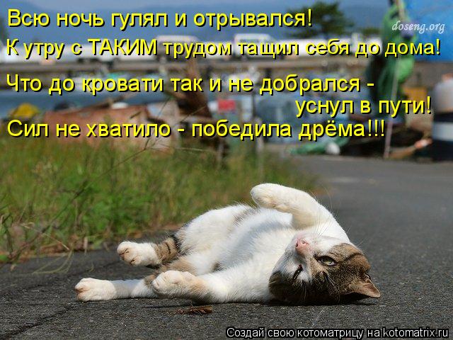 Всю ночь гулял и отрывался! Сил не хватило - победила дрёма!!! Что до кровати так и не добрался - усн... Котоматрица: Всю ночь гулял и отрывался! Сил не хватило - победила дрёма!!! Что до кровати так и не добрался - уснул в пути! К утру с ТАКИМ трудом тащил себя