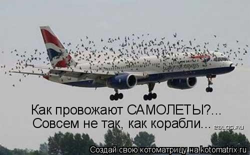 Как провожают САМОЛЕТЫ?... Совсем не так, как корабли...... Котоматрица: Как провожают САМОЛЕТЫ?... Совсем не так, как корабли...