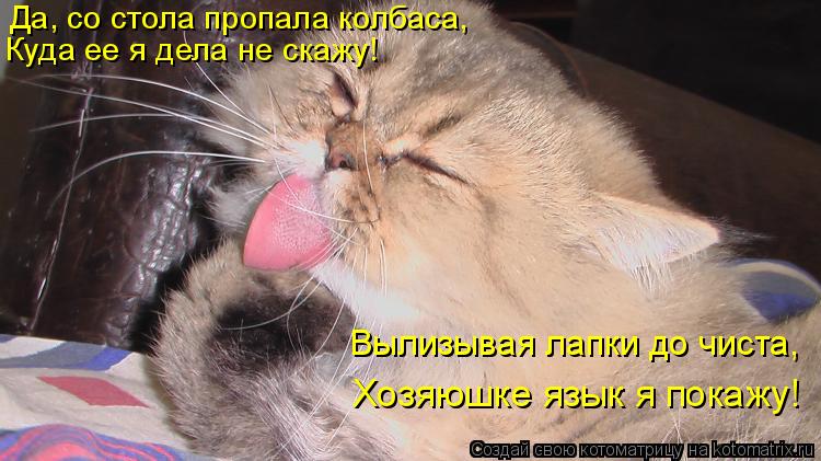 Да, со стола пропала колбаса, Куда ее я дела не скажу! Вылизывая лапки до чиста, Хозяюшке язык я пока... Котоматрица: Да, со стола пропала колбаса, Куда ее я дела не скажу! Вылизывая лапки до чиста, Хозяюшке язык я покажу!