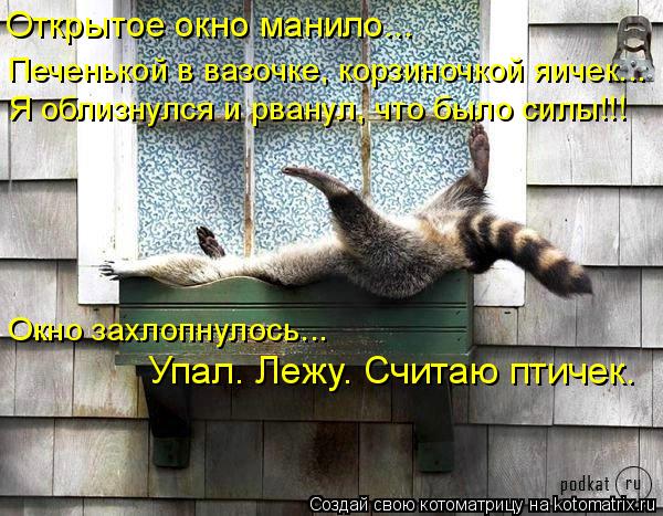 Открытое окно манило... Печенькой в вазочке, корзиночкой яичек... Я облизнулся и рванул, что было си... Котоматрица: Открытое окно манило... Печенькой в вазочке, корзиночкой яичек... Я облизнулся и рванул, что было силы!!! Окно захлопнулось... Упал. Лежу. Счита