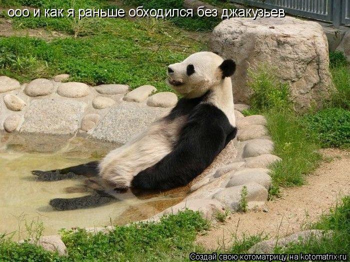 ооо и как я раньше обходился без джакузьев... Котоматрица: ооо и как я раньше обходился без джакузьев