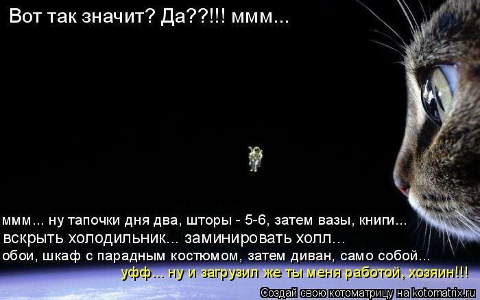 Вот так значит? Да??!!! ммм... ммм... ну тапочки дня два, шторы - 5-6, затем вазы, книги... вскрыть х... Котоматрица: Вот так значит? Да??!!! ммм... ммм... ну тапочки дня два, шторы - 5-6, затем вазы, книги... вскрыть холодильник... заминировать холл... обои, шкаф с п
