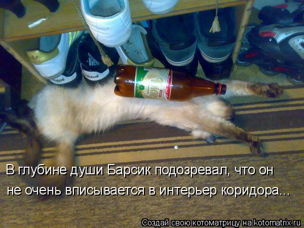В глубине души Барсик подозревал, что он не очень вписывается в интерьер коридора...... Котоматрица: В глубине души Барсик подозревал, что он не очень вписывается в интерьер коридора...