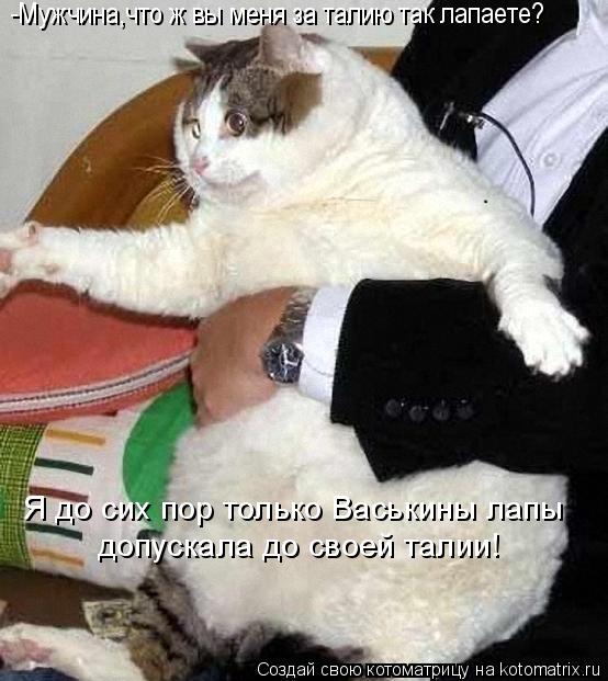 -Мужчина,что ж вы меня за талию так лапаете? Я до сих пор только Васькины лапы допускала до своей тал... Котоматрица: -Мужчина,что ж вы меня за талию так лапаете? Я до сих пор только Васькины лапы допускала до своей талии!