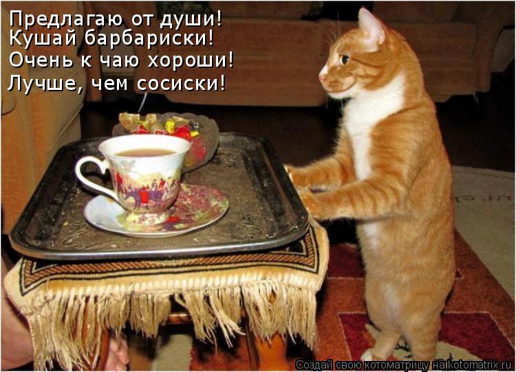 Предлагаю от души! Очень к чаю хороши! Лучше, чем сосиски! Кушай барбариски!... Котоматрица: Предлагаю от души! Очень к чаю хороши! Лучше, чем сосиски! Кушай барбариски!