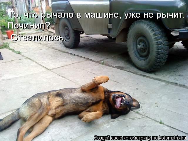 - То, что рычало в машине, уже не рычит. - Починил? - Отвалилось. - Отвалилось.... Котоматрица: - То, что рычало в машине, уже не рычит. - Починил? - Отвалилось. - Отвалилось.