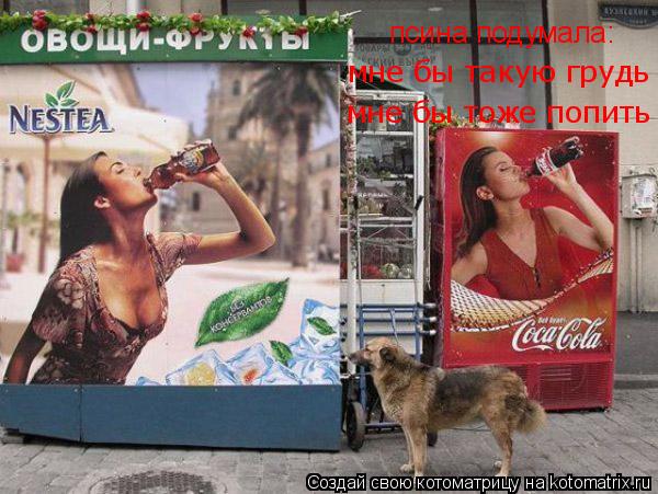 псина подумала: мне бы такую грудь мне бы тоже попить... Котоматрица: псина подумала: мне бы такую грудь мне бы тоже попить