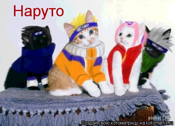 Наруто... Котоматрица: Наруто