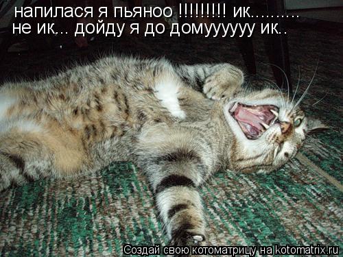 напилася я пьяноо !!!!!!!!! ик.......... не ик... дойду я до домуууууу ик..... Котоматрица: напилася я пьяноо !!!!!!!!! ик.......... не ик... дойду я до домуууууу ик..