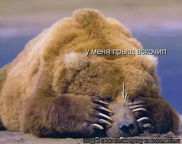 / | | у меня прыщ вскочил... Котоматрица: / | | у меня прыщ вскочил