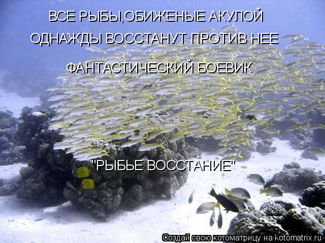 ВСЕ РЫБЫ,ОБИЖЕНЫЕ АКУЛОЙ ОДНАЖДЫ ВОССТАНУТ ПРОТИВ НЕЕ ФАНТАСТИЧЕСКИЙ БОЕВИК "РЫБЬЕ ВОССТАНИЕ"... Котоматрица: ВСЕ РЫБЫ,ОБИЖЕНЫЕ АКУЛОЙ ОДНАЖДЫ ВОССТАНУТ ПРОТИВ НЕЕ ФАНТАСТИЧЕСКИЙ БОЕВИК "РЫБЬЕ ВОССТАНИЕ"
