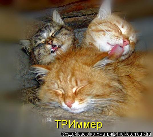 ТРИммер... Котоматрица: ТРИммер