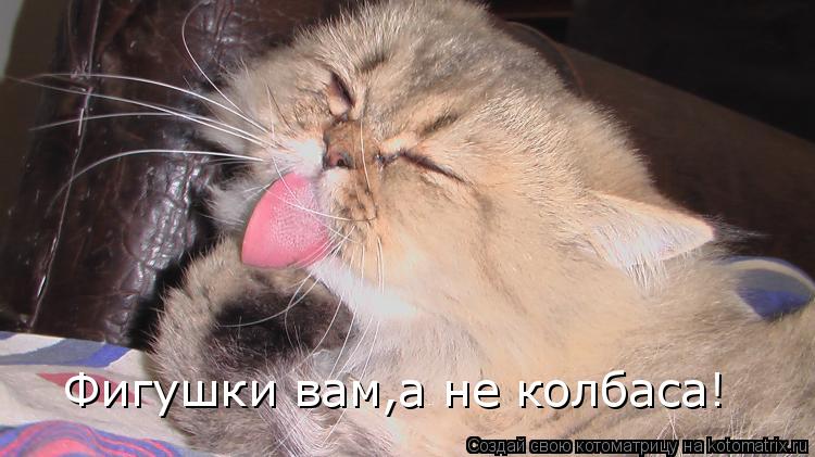 Фигушки вам,а не колбаса!... Котоматрица: Фигушки вам,а не колбаса!