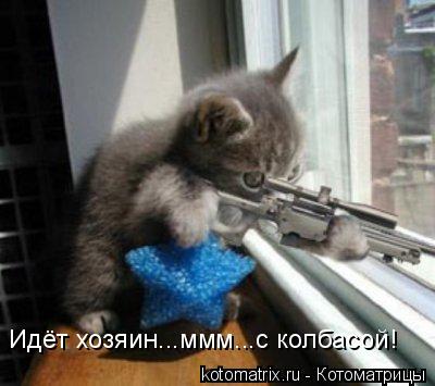 Идёт хозяин...ммм...с колбасой!... Котоматрица: Идёт хозяин...ммм...с колбасой!