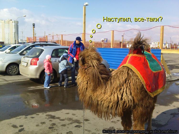 Наступил, все-таки? О о о о... Котоматрица: Наступил, все-таки? О о о о