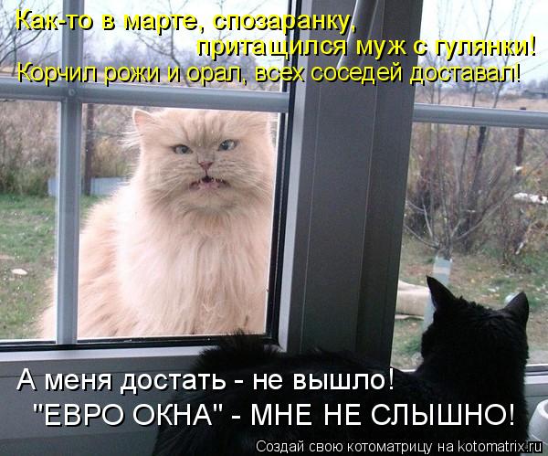 Котоматрица: Как-то в марте, спозаранку, притащился муж с гулянки! Корчил рожи и орал, всех соседей доставал! А меня достать - не вышло! "ЕВРО ОКНА" - МНЕ НЕ С