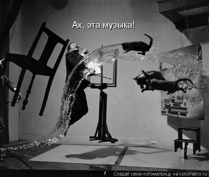 Ах, эта музыка!... Котоматрица: Ах, эта музыка!