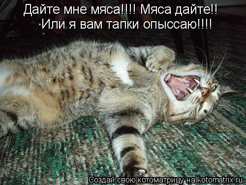 Дайте мне мяса!!!! Мяса дайте!! Или я вам тапки опыссаю!!!!... Котоматрица: Дайте мне мяса!!!! Мяса дайте!! Или я вам тапки опыссаю!!!!