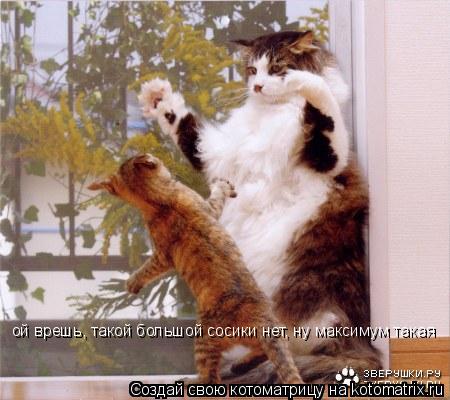 ой врешь, такой большой сосики нет, ну максимум такая... Котоматрица: ой врешь, такой большой сосики нет, ну максимум такая