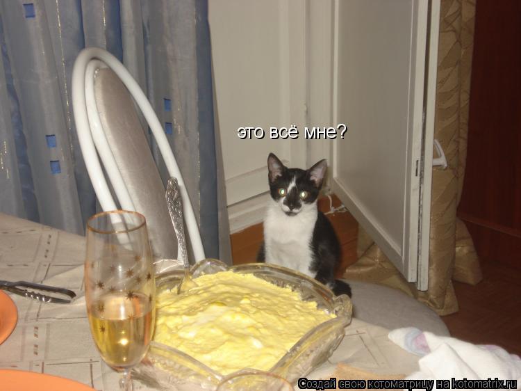 это всё мне?... Котоматрица: это всё мне?