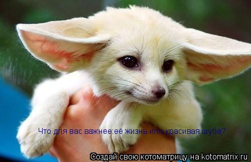 Что для вас важнее:её жизнь или красивая шуба?... Котоматрица: Что для вас важнее:её жизнь или красивая шуба?