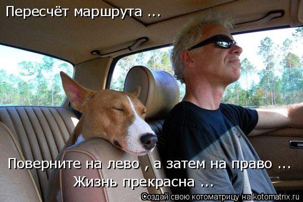 Пересчёт маршрута ... Поверните на лево , а затем на право ... Жизнь прекрасна ...... Котоматрица: Пересчёт маршрута ... Поверните на лево , а затем на право ... Жизнь прекрасна ...