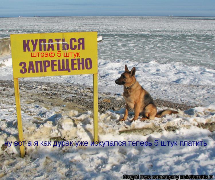 штраф 5 штук ну вот а я как дурак уже искупался теперь 5 штук платить... Котоматрица: штраф 5 штук ну вот а я как дурак уже искупался теперь 5 штук платить