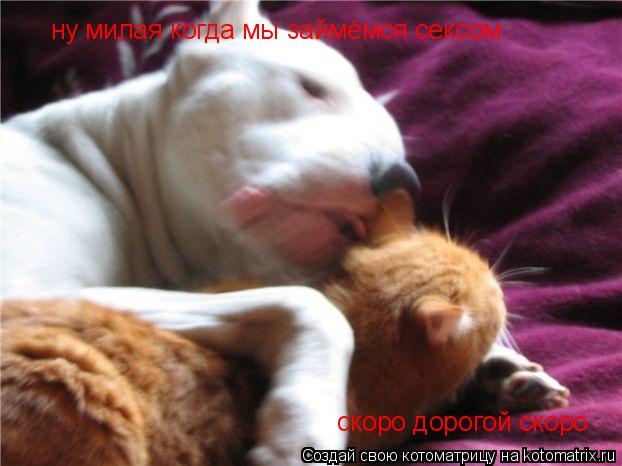 ну милая когда мы займёмся сексом скоро дорогой скоро... Котоматрица: ну милая когда мы займёмся сексом скоро дорогой скоро