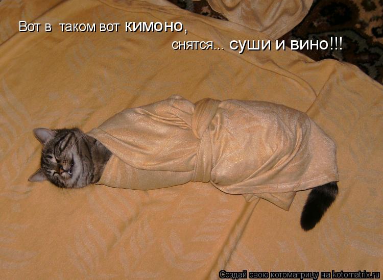 Вот в таком вот кимоно, снятся... суши и вино!!!... Котоматрица: Вот в таком вот кимоно, снятся... суши и вино!!!
