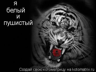 я белый и пушистый... Котоматрица: я белый и пушистый