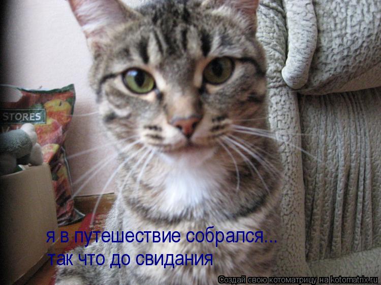 я в путешествие собрался... так что до свидания... Котоматрица: я в путешествие собрался... так что до свидания
