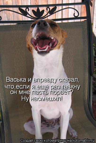 Васька и вправду сказал, что,если я ещё раз гавкну он мне пасть порвёт? Ну насмешил!... Котоматрица: Васька и вправду сказал, что,если я ещё раз гавкну он мне пасть порвёт? Ну насмешил!