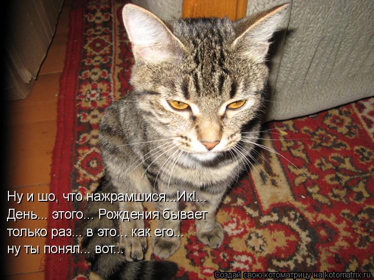 Ну и шо, что нажрамшися...Ик!... День... этого... Рождения бывает только раз... в это... как его... ... Котоматрица: Ну и шо, что нажрамшися...Ик!... День... этого... Рождения бывает только раз... в это... как его... ну ты понял... вот...