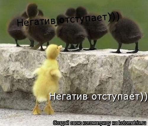 Негатив отступает))) Негатив отступает)))... Котоматрица: Негатив отступает))) Негатив отступает)))