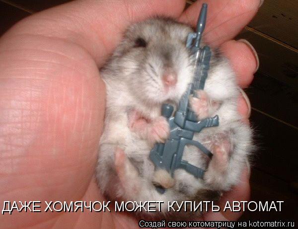 ДАЖЕ ХОМЯЧОК МОЖЕТ КУПИТЬ АВТОМАТ... Котоматрица: ДАЖЕ ХОМЯЧОК МОЖЕТ КУПИТЬ АВТОМАТ