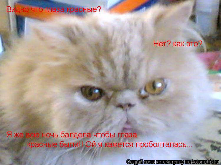 Видно что глаза красные? Нет? как это? Я же всю ночь балдела чтобы глаза красные были!! Ой я кажется... Котоматрица: Видно что глаза красные? Нет? как это? Я же всю ночь балдела чтобы глаза красные были!! Ой я кажется проболталась...