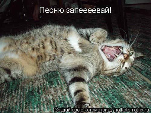 Песню запеееевай!... Котоматрица: Песню запеееевай!