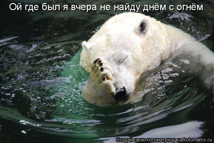 Ой где был я вчера не найду днём с огнём... Котоматрица: Ой где был я вчера не найду днём с огнём
