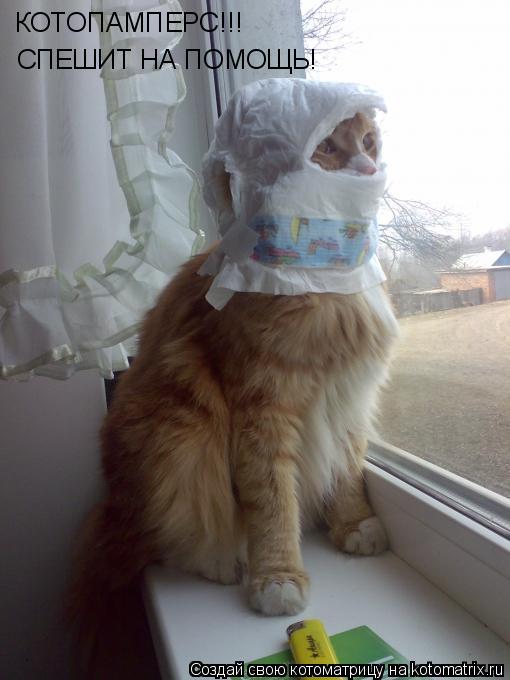 КОТОПАМПЕРС!!! СПЕШИТ НА ПОМОЩЬ!... Котоматрица: КОТОПАМПЕРС!!! СПЕШИТ НА ПОМОЩЬ!
