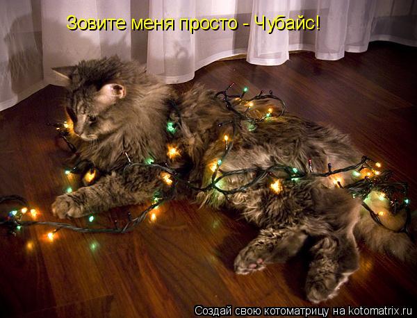 Зовите меня просто - Чубайс!... Котоматрица: Зовите меня просто - Чубайс!