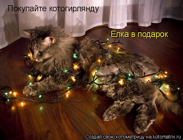 Покупайте котогирлянду Елка в подарок... Котоматрица: Покупайте котогирлянду Елка в подарок