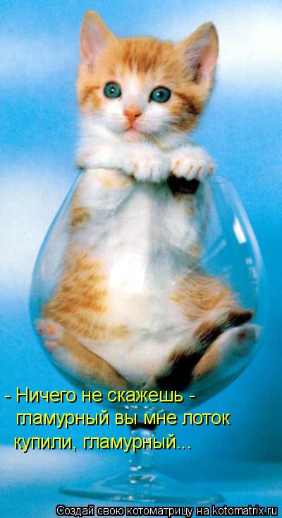 - Ничего не скажешь - гламурный вы мне лоток купили, гламурный...... Котоматрица: - Ничего не скажешь - гламурный вы мне лоток купили, гламурный...